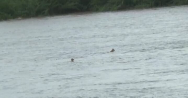 ನವಿಲು ತೀರ್ಥ ಭರ್ತಿ.. ನೀರು ಬಿಡುಗಡೆಯಿಂದ ಹೆಚ್ಚಿದ ಆತಂಕ