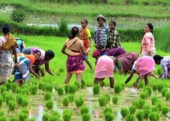ಬೆಂಗಳೂರಿನಲ್ಲಿ ರೈತರ ರಾಷ್ಟ್ರೀಯ ಮಹಾಧಿವೇಶನ; ಅನ್ನದಾತರ ರಣಕಹಳೆ