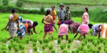 ಬೆಂಗಳೂರಿನಲ್ಲಿ ರೈತರ ರಾಷ್ಟ್ರೀಯ ಮಹಾಧಿವೇಶನ; ಅನ್ನದಾತರ ರಣಕಹಳೆ