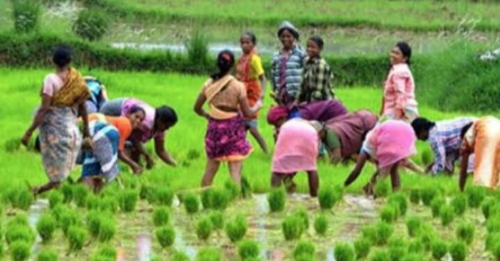 ಬೆಂಗಳೂರಿನಲ್ಲಿ ರೈತರ ರಾಷ್ಟ್ರೀಯ ಮಹಾಧಿವೇಶನ; ಅನ್ನದಾತರ ರಣಕಹಳೆ