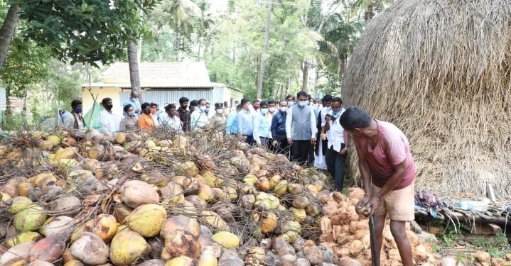 ತೆಂಗು ಸಂಸ್ಕರಣೆ ವ್ಯವಸ್ಥೆಯನ್ನು ಖುದ್ದು ವೀಕ್ಷಿಸಿದ ಸಚಿವ ಅಶ್ವತ್ಥನಾರಾಯಣ್