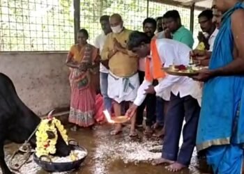 ದೀಪಾವಳಿ ಸಂಭ್ರಮ:  ಕೊರಗರ ಕಾಲೊನಿಯಲ್ಲಿ ಸಚಿವ ಕೋಟ ಶ್ರೀನಿವಾಸ ಪೂಜಾರಿಯಿಂದ ಗೋ ಪೂಜೆ