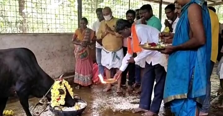 ದೀಪಾವಳಿ ಸಂಭ್ರಮ:  ಕೊರಗರ ಕಾಲೊನಿಯಲ್ಲಿ ಸಚಿವ ಕೋಟ ಶ್ರೀನಿವಾಸ ಪೂಜಾರಿಯಿಂದ ಗೋ ಪೂಜೆ