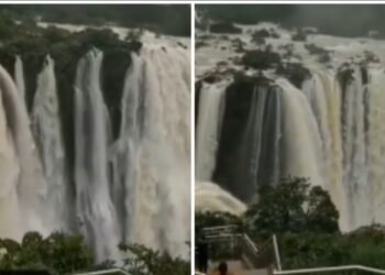 VIDEO: ಮಳೆಯಿಂದ ಸಿಂಗಾರ: ಹೀಗಿದೆ ‘ದೂದ್‌ಸಾಗರ್’ ಜಲಪಾತದ ವಯ್ಯಾರ