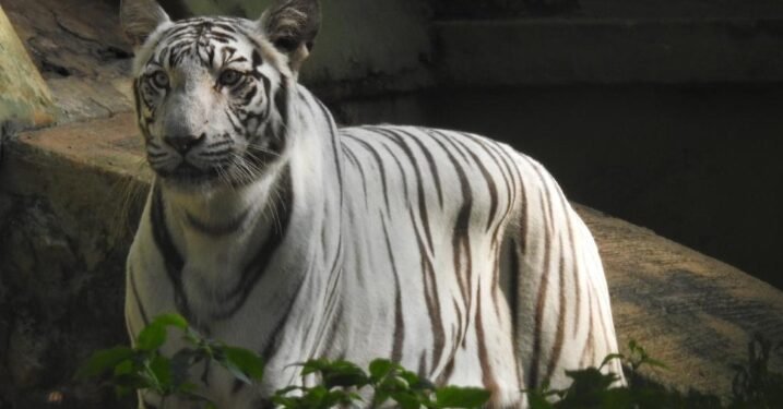 ರಾಜ್ಯದಲ್ಲಿ 61 ಯೋಜನೆಯ ₹3829 ಕೋಟಿ ರೂ ಬಂಡವಾಳ ಹೂಡಿಕೆ ಅನುಮೋದನೆ