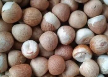 ಬೆಳೆಗಾರರ ಬೆನ್ನಿಗೆ ನಿಂತ ಮೋದಿ ಸರ್ಕಾರ; ಅಡಿಕೆ ಆಮದು ಸುಂಕ ಏರಿಕೆ  