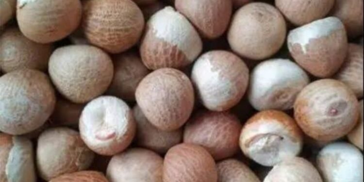 ಬೆಳೆಗಾರರ ಬೆನ್ನಿಗೆ ನಿಂತ ಮೋದಿ ಸರ್ಕಾರ; ಅಡಿಕೆ ಆಮದು ಸುಂಕ ಏರಿಕೆ  