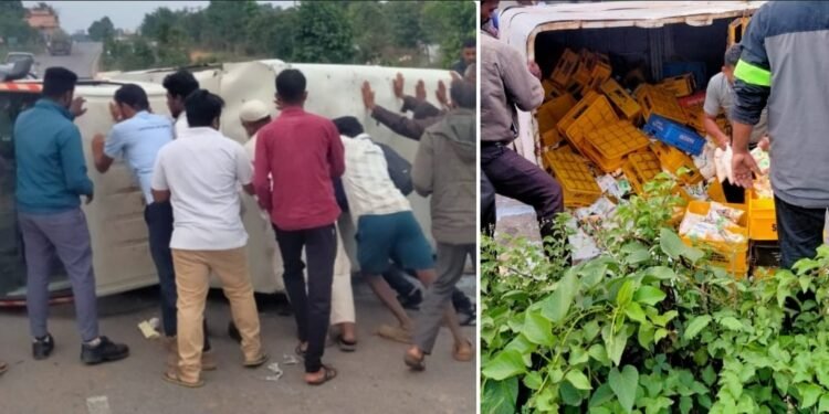 ಡಿವೈಡರ್‌ಗೆ ಡಿಕ್ಕಿ ಹೊಡೆದು ಪಲ್ಟಿಯಾದ ಹಾಲಿನ ಟೆಂಪೋ; ಬೀದಿಯಲ್ಲಿ ಹರಿದುಹೋದ ಹಾಲು..