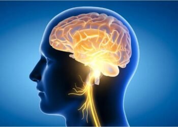 ಢಾಕಾ ಸಮೀಪ ಭೀಕರ ಅಪಘಾತ; 17 ಮಂದಿ ದುರ್ಮರಣ