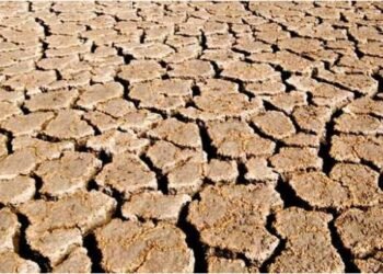 ಢಾಕಾ ಸಮೀಪ ಭೀಕರ ಅಪಘಾತ; 17 ಮಂದಿ ದುರ್ಮರಣ