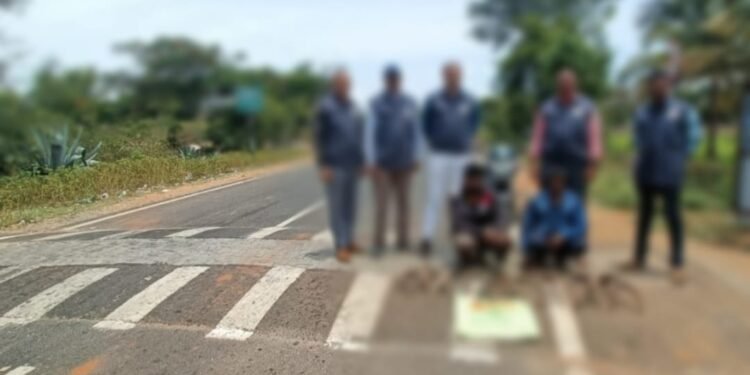 ಜಿಂಕೆ ಕೊಂಬು ಅಕ್ರಮ ಸಾಗಾಟ; ಚಾಮರಾಜನಗರ ಬಳಿ ಇಬ್ಬರ ಬಂಧನ