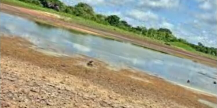 ಮಾಜಿ ಮಾವೋವಾದಿ ಸಿದ್ಧಾಂತವಾದಿ ಗದ್ದರ್ ವಿಧಿವಶ