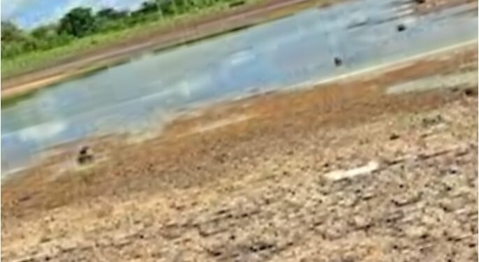 ಮಾಜಿ ಮಾವೋವಾದಿ ಸಿದ್ಧಾಂತವಾದಿ ಗದ್ದರ್ ವಿಧಿವಶ