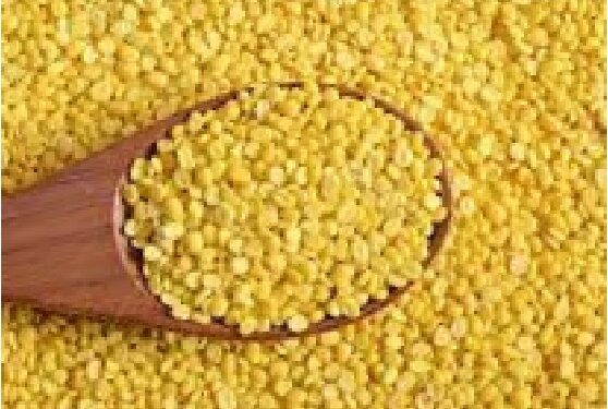 ಆರೋಗ್ಯ ಸೂತ್ರ: ಈ ಬೇಳೆಯಿಂದ ಕೊಲೆಸ್ಟ್ರಾಲ್ ನಿಯಂತ್ರಣ ಸಾಧ್ಯ