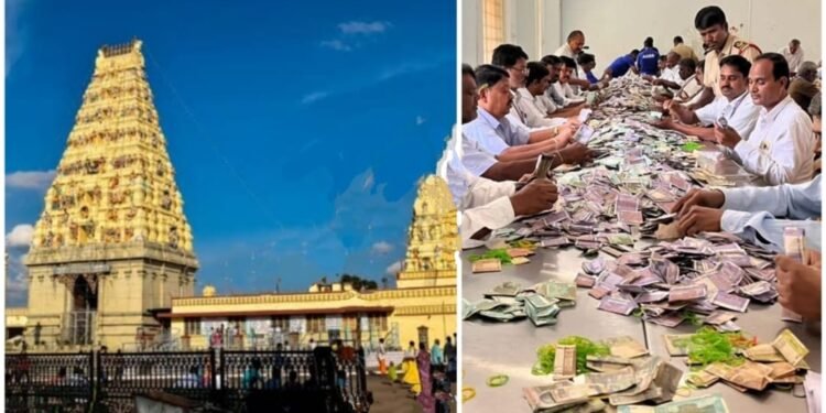 ಮಾದಪ್ಪನ ಸನ್ನಿಧಿಗೆ ಭಕ್ತರ ಹೊಳೆ; ಹುಂಡಿಯಲ್ಲಿ ಬರೋಬ್ಬರಿ 2.38 ಕೋ.ರೂ. ಸಂಗ್ರಹ