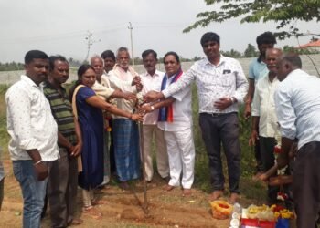 ವಾಸುದೇವನಹಳ್ಳಿ ಬಳಿ ಚೆಕ್ ಡ್ಯಾಂ ನಿರ್ಮಾಣ: ಗುದ್ದಲಿ ಪೂಜೆ