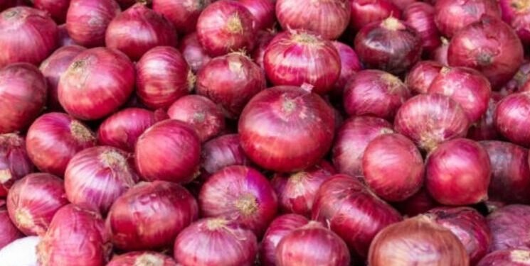 ಈರುಳ್ಳಿ ಬೆಲೆ ಕುಂಠಿತ; ಮತ್ತೆ ಬೆಲೆ ಏರಿಕೆಯಾ ಆತಂಕ