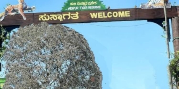 ಬಂಡೀಪುರ ಹುಲಿ ಸಂರಕ್ಷಿತಾರಣ್ಯದಲ್ಲಿ ಗುಂಡಿನ ಚಕಮಕಿ; ಅರಣ್ಯ ಸಿಬ್ಬಂದಿ ಗುಂಡಿಗೆ ಬೇಟೆಗಾರ ಬಲಿ