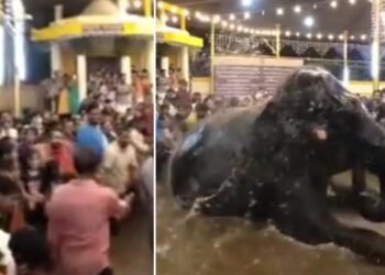 ಕುಕ್ಕೆ ಕ್ಷೇತ್ರದಲ್ಲಿ ‘ನೀರು ಬಂಡಿ ವೈಭವ’