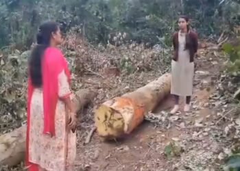 ಸಂಸದ ಪ್ರತಾಪ್ ಸಿಂಹ ಸಹೋದರನ ಅಡ್ಡೆಗೆ ಅಧಿಕಾರಿಗಳ ದಾಳಿ; ಕೋಟ್ಯಾಂತರ ರೂ ಮೌಲ್ಯದ ಮರಗಳ್ಳತನ ಆರೋಪ