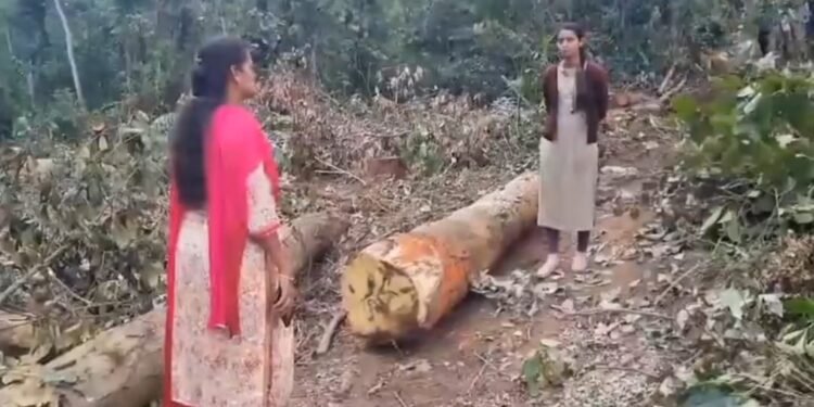 ಸಂಸದ ಪ್ರತಾಪ್ ಸಿಂಹ ಸಹೋದರನ ಅಡ್ಡೆಗೆ ಅಧಿಕಾರಿಗಳ ದಾಳಿ; ಕೋಟ್ಯಾಂತರ ರೂ ಮೌಲ್ಯದ ಮರಗಳ್ಳತನ ಆರೋಪ