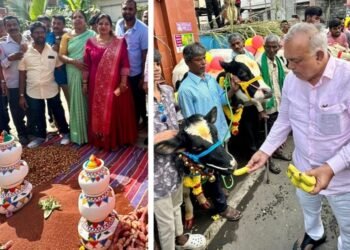 ಸಿಲಿಕಾನ್ ಸಿಟಿಯಲ್ಲಿ ಗ್ರಾಮೀಣ ಸೊಗಡು.. ಸಂಕ್ರಾಂತಿ ಸುಗ್ಗಿಯಲಿ ಹಿಗ್ಗಿದ ಬಿಟಿಎಂ ಮಂದಿ.. ‘ಹಳ್ಳಿ ಹೈದ’ನಾದ ರಾಮಲಿಂಗ ರೆಡ್ಡಿ..