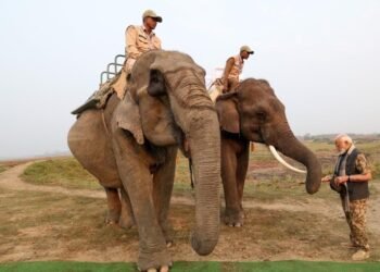 ಕಾಜಿರಂಗ ರಾಷ್ಟ್ರೀಯ ಉದ್ಯಾನವನದಲ್ಲಿ ಪ್ರಧಾನಿ ಮೋದಿ ಸಫಾರಿ