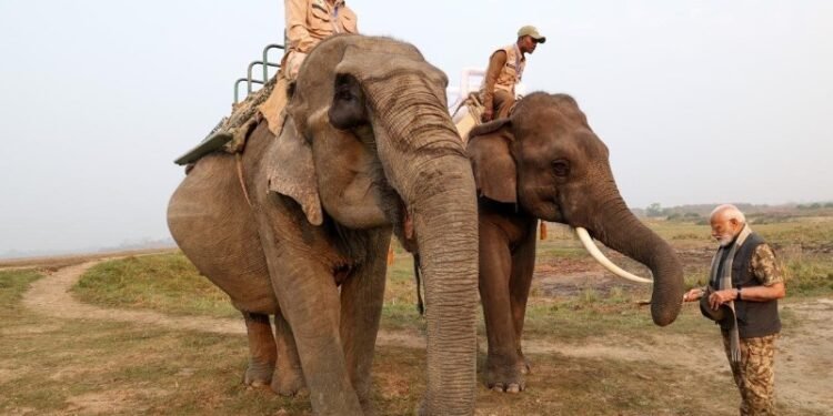 ಕಾಜಿರಂಗ ರಾಷ್ಟ್ರೀಯ ಉದ್ಯಾನವನದಲ್ಲಿ ಪ್ರಧಾನಿ ಮೋದಿ ಸಫಾರಿ