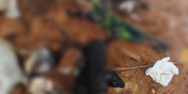 ರಾಜಧಾನಿ ಸುತ್ತಮುತ್ತ ಭಾರೀ ಮಳೆ; ಸಿಡಿಲಬ್ಬರಕ್ಕೆ ಮಹಿಳೆ ಸಾವು, 20ಕ್ಕೂ ಹೆಚ್ಚು‌ ಮೇಕೆಗಳೂ ಬಲಿ