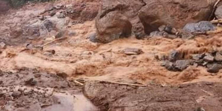 ವಯನಾಡ್ ಭೂಕುಸಿತ; 100 ದಾಟಿದ ಸಾವಿನ ಸಂಖ್ಯೆ; ದುರ್ಘಟನೆ ಬಗ್ಗೆ ಮೋದಿ ಆಘಾತ