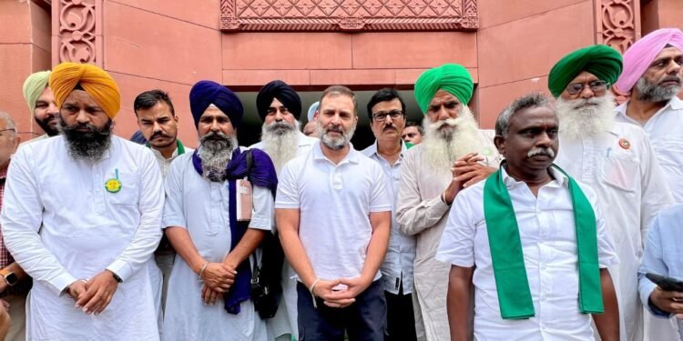 ಅನ್ನದಾತರ ಹೋರಾಟಕ್ಕೆ ರಾಹುಲ್ ಗಾಂಧಿ ಬೆಂಬಲ; ಖಾಸಗಿ ಬಿಲ್ ಮಂಡಿಸಬೇಕೆಂಬ ರೈತರ ಆಗ್ರಹಕ್ಕೆ ಸಹಮತ