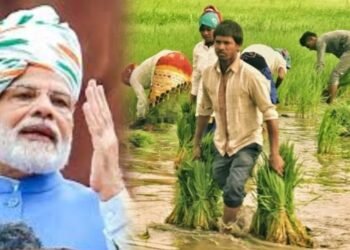 ಕೃಷಿಯಲ್ಲಿ ಕ್ರಾಂತಿಗೆ ಮೋದಿ ಮುನ್ನುಡಿ; ಬರೋಬ್ಬರಿ 109 ತಳಿಗಳ ಬಿಡುಗಡೆ