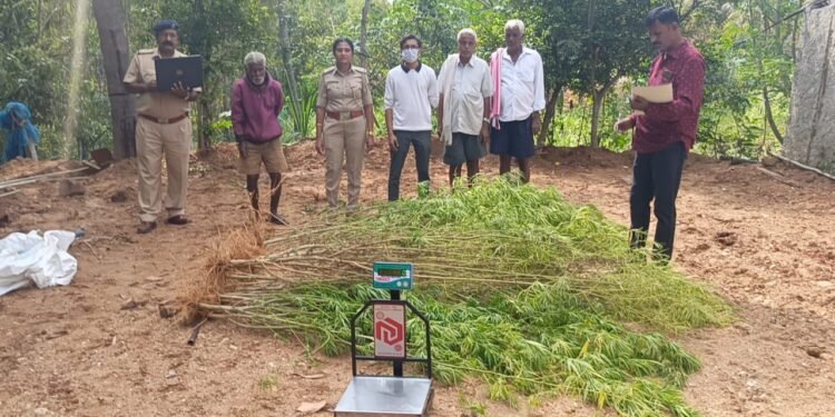 ದೊಡ್ಡಬಳ್ಳಾಪುರ:1.67 ಲಕ್ಷ ರೂ ಮೌಲ್ಯದ ಗಾಂಜಾ ವಶ : ಒಬ್ಬನ ಬಂಧನ