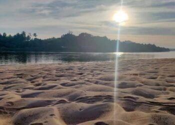 ಮಂಗಳೂರು: ದ್ವೀಪವನ್ನೇ ನುಂಗುತ್ತಿರುವ ಮರಳು ಮಾಫಿಯಾ! ಅಕ್ರಮ ದಂಧೆ ಬಗ್ಗೆ ಅಧಿಕಾರಿಗಳ ಮೌನವೇಕೆ? CSಗೆ ಪರಿಸರ ಹೋರಾಟಗಾರ ಆಲ್ವಿನ್ ದೂರು