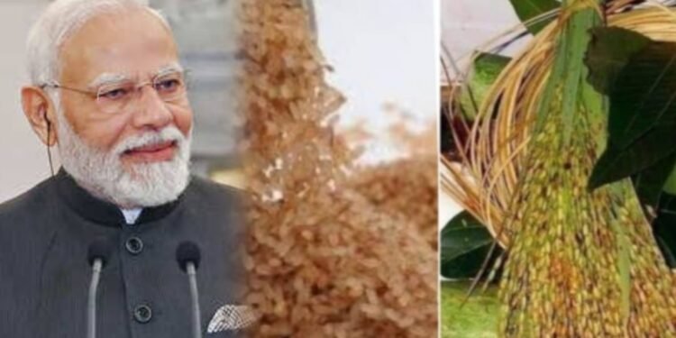 ಅನ್ನದಾತರಿಗೆ ‘ಮೋದಿ ದೀಪಾವಳಿ ಗಿಫ್ಟ್’; ಭತ್ತದ ಬೆಂಬಲ ಬೆಲೆ 2500ರೂ. ಘೋಷಣೆ