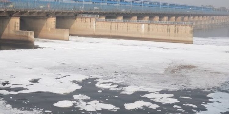 ನುಡಿದಂತೆ ನಡೆದ ಮೋದಿ: ಯಮುನಾ ನದಿಯನ್ನು ಸ್ವಚ್ಛ ಕಾರ್ಯಕ್ಕೆ ಮುನ್ನುಡಿ