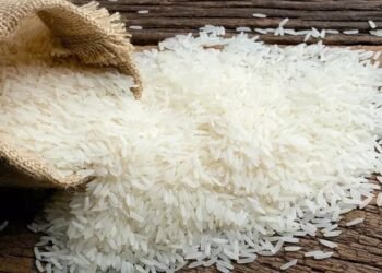 ಬಡವರ ಅನ್ನಕ್ಕೆ ಕನ್ನ: ಅನ್ನಭಾಗ್ಯ ಅಕ್ಕಿ ಅಕ್ರಮ ಮಾರಾಟ ಜಾಲ ಪತ್ತೆ