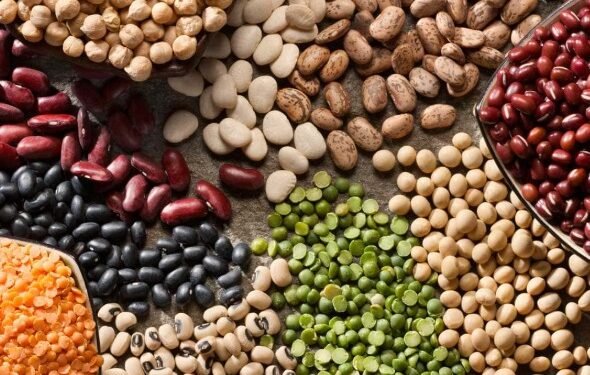 “ಈ ಧಾನ್ಯಗಳಿಂದ ಉತ್ಕರ್ಷಣ ನಿರೋಧಕ, ಮಧುಮೇಹ ವಿರೋಧಿ ಗುಣಗಳು ಹೆಚ್ಚಾಗುತ್ತವೆ”