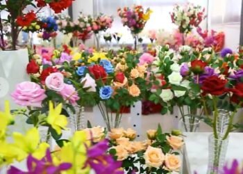 Artificial flowers ನಿಂದ ಕ್ಯಾನ್ಸರ್ ಆತಂಕ; ಚೀನಾದ ಪ್ಲಾಸ್ಟಿಕ್ ಹೂ ನಿಷೇಧಕ್ಕೆ ‘ಮಹಾ’ ನಿರ್ಧಾರ