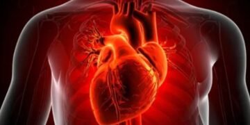 ಗುಪ್ತ ಹೃದಯ ಕಾಯಿಲೆ ಪತ್ತೆಗೆ ಎಐ ಸಾಧನ: ತಜ್ಞರಿಗಿಂತ ನಿಖರ