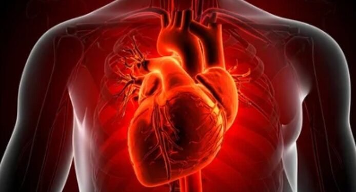 ಗುಪ್ತ ಹೃದಯ ಕಾಯಿಲೆ ಪತ್ತೆಗೆ ಎಐ ಸಾಧನ: ತಜ್ಞರಿಗಿಂತ ನಿಖರ