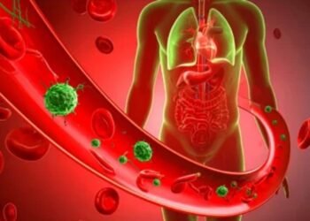 ಮತದಾರರ ಪಟ್ಟಿ ಅಕ್ರಮ: ರಾಹುಲ್ ಗಾಂಧಿಯವರ ಆರೋಪಗಳನ್ನುತಳ್ಳಿಹಾಕಿದ ಕರ್ನಾಟಕ ಚುನಾವಣಾ ಆಯೋಗ