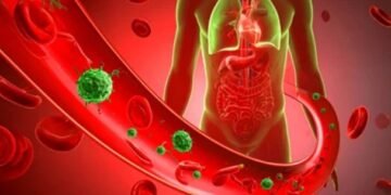 ಮತದಾರರ ಪಟ್ಟಿ ಅಕ್ರಮ: ರಾಹುಲ್ ಗಾಂಧಿಯವರ ಆರೋಪಗಳನ್ನುತಳ್ಳಿಹಾಕಿದ ಕರ್ನಾಟಕ ಚುನಾವಣಾ ಆಯೋಗ