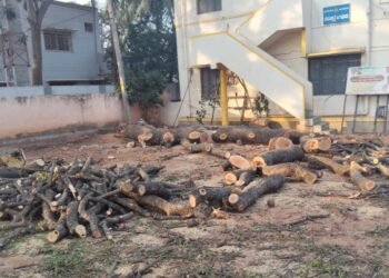 ಜನರಿಗೆ ವರವಾಗಿದ್ದ ಮರಗಳ ತೆರವು; ಅಧಿಕಾರಿಗಳ ನಡೆಗೆ ಸಾರ್ವಜನಿಕರ ಆಕ್ರೋಶ