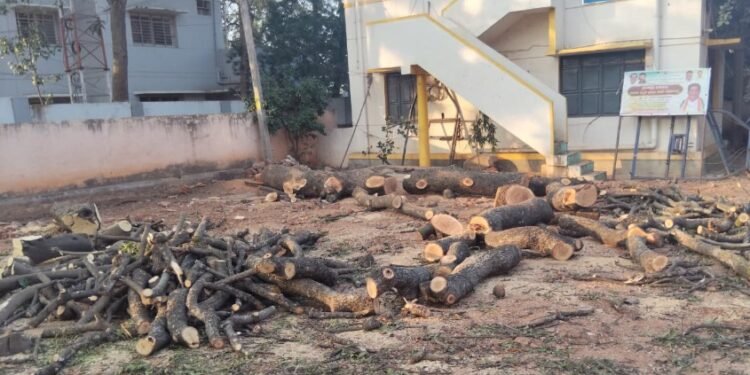 ಜನರಿಗೆ ವರವಾಗಿದ್ದ ಮರಗಳ ತೆರವು; ಅಧಿಕಾರಿಗಳ ನಡೆಗೆ ಸಾರ್ವಜನಿಕರ ಆಕ್ರೋಶ