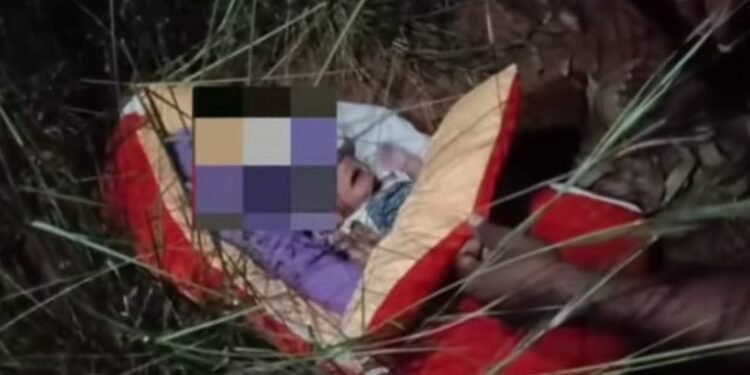 ತಂದೆತಾಯಿಗೆ ಬೇಡವಾದ ಹಸುಗೂಸು; ಬೀದಿಯಲ್ಲಿ ಬಿಸಾಡಿದ ಪಾಪಿಗಳು