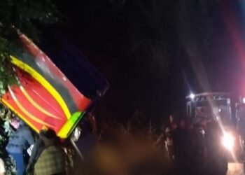 ಆಂಧ್ರಪ್ರದೇಶದ ಚಿಂತೂರು-ಮರೇಡುಮಿಲ್ಲಿ ಘಾಟ್ ರಸ್ತೆಯಲ್ಲಿ ಕಂದಕಕ್ಕೆ ಉರುಳಿಬಿದ್ದ ಬಸ್; 9 ಮಂದಿ ಸಾವು