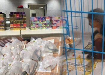 ವಿದೇಶದಿಂದ ಬೆಂಗಳೂರಿಗೆ ಅಕ್ರಮ ವಸ್ತು, ಪ್ರಾಣಿಗಳ ಸಾಗಾಣಿಕೆ ಪತ್ತೆ