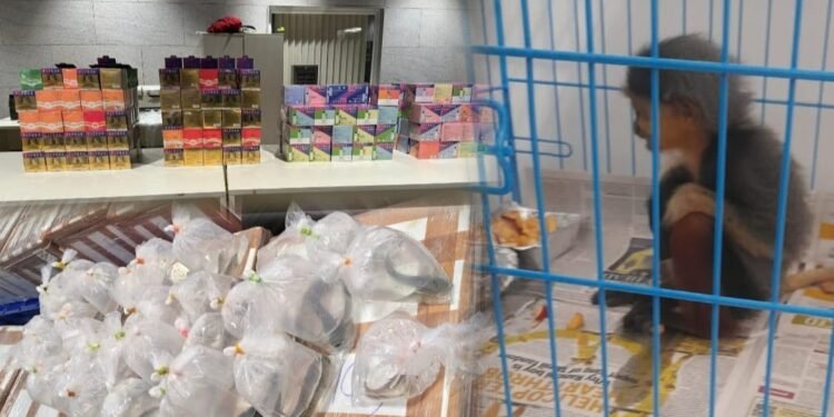 ವಿದೇಶದಿಂದ ಬೆಂಗಳೂರಿಗೆ ಅಕ್ರಮ ವಸ್ತು, ಪ್ರಾಣಿಗಳ ಸಾಗಾಣಿಕೆ ಪತ್ತೆ