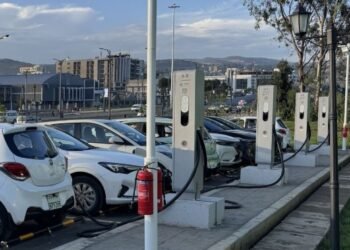 ತೈಲ ಕೊರತೆ ಹಿನ್ನೆಲೆ; ತಮಿಳುನಾಡಿನಲ್ಲಿ ಇವಿ ಬಳಕೆ ಹೆಚ್ಚಿಸಲು ಕ್ರಮ